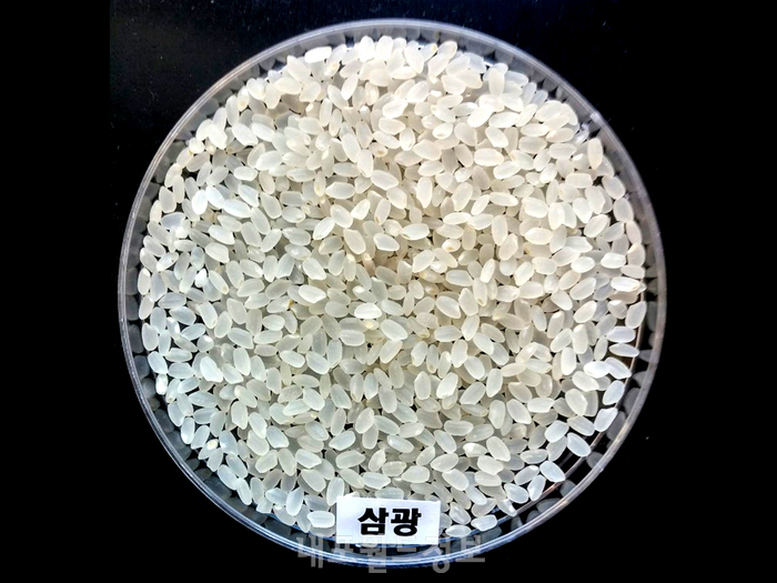 ‘삼광 품종’전국 최고 브랜드쌀 입증