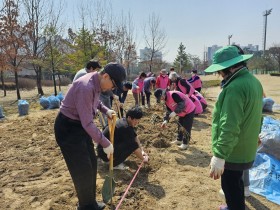 성정2동 8개 자생단체, 축구센터에 '나무 100그루' 식재