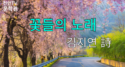 [천안TV 문학관] 꽃들의 노래_김지연 詩